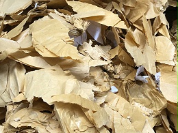 金双联环保告诉您纸塑分离机将废纸回收后可以干什么