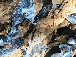 果袋纸
