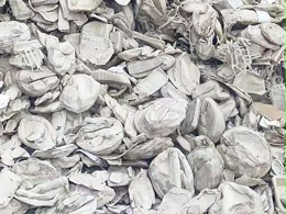 金双联纸塑分离机机让废弃餐盒纸再生