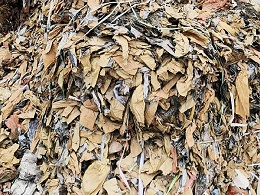 纸塑分离机