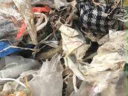 纸塑分离机