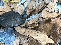 无纺布果袋用纸塑分离机分完就是原料